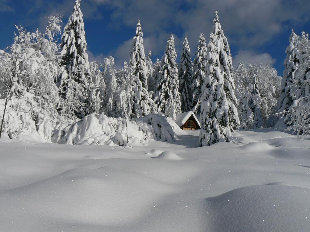 Hiska Henrik Zalokar Apartment Bohinj ภายนอก รูปภาพ
