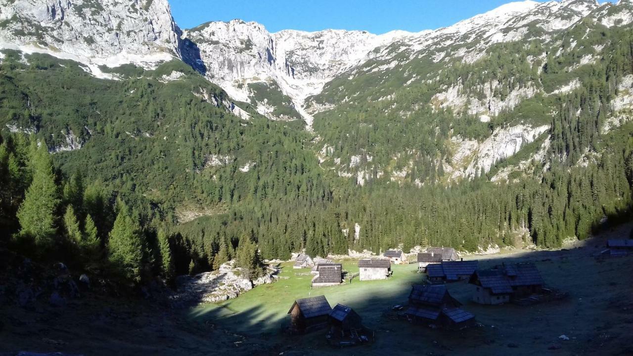 Hiska Henrik Zalokar Apartment Bohinj ภายนอก รูปภาพ