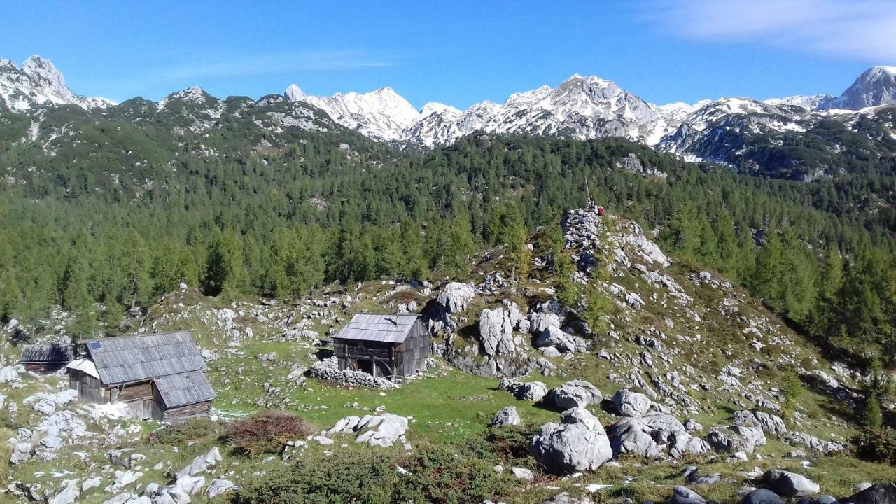 Hiska Henrik Zalokar Apartment Bohinj ภายนอก รูปภาพ