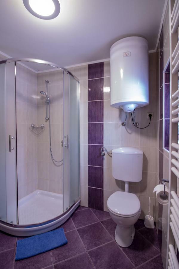 Hiska Henrik Zalokar Apartment Bohinj ภายนอก รูปภาพ