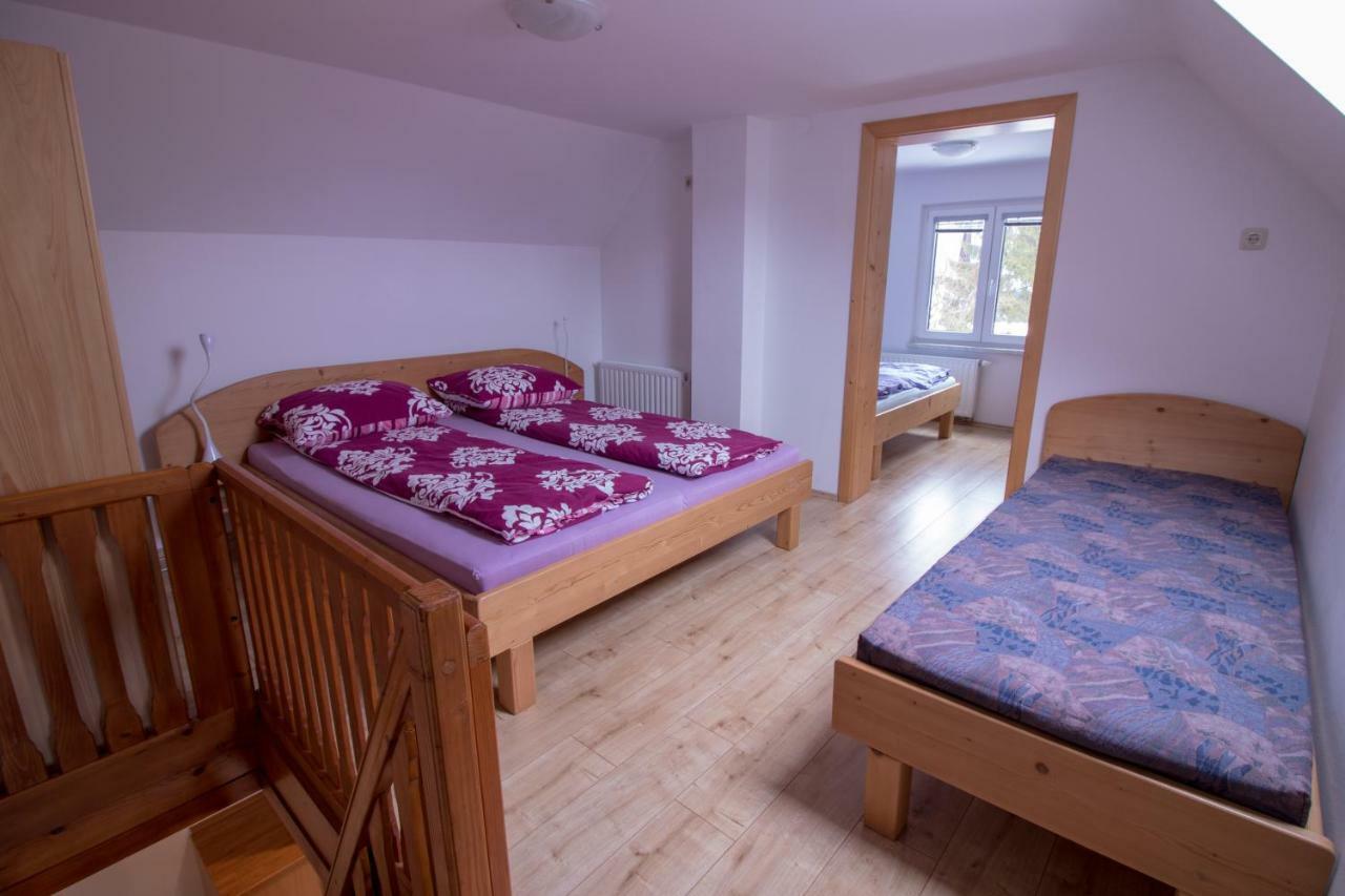 Hiska Henrik Zalokar Apartment Bohinj ภายนอก รูปภาพ