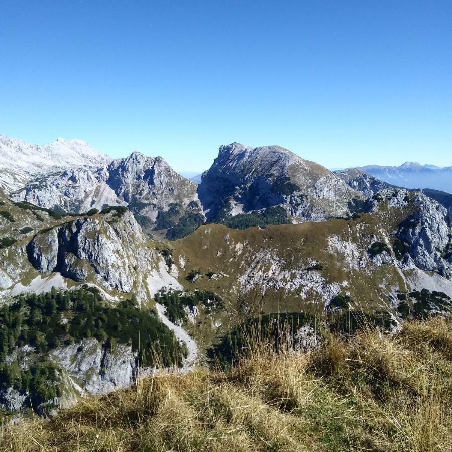 Hiska Henrik Zalokar Apartment Bohinj ภายนอก รูปภาพ